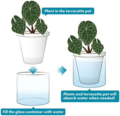D'vine Dev Self-Watering White Terracotta Planter Pot, 6 in, 37-X-B-2 - Image 6