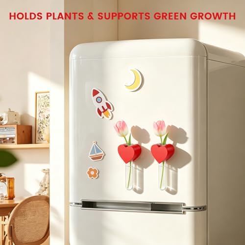 Magnetic Heart-Shaped Wooden Fridge Magnet with Glass Tube Accent, Beech Wood Decorative Magnet for Refrigerator, Kitchen & Office Metal Surfaces (No Plant Included) - Image 6
