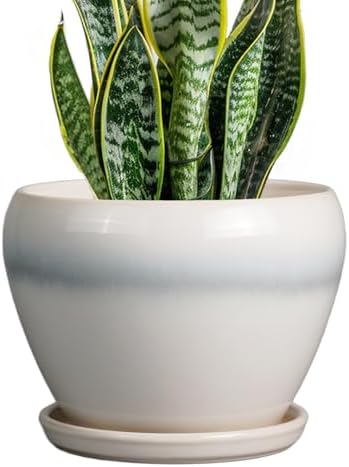 Ceramicfor Ceramic Planter - 8 Inch Plant Pot with Drainage Hole and Saucer, Glaze Round Flower Pot for Home Garden Patio Office, White by Ceramicfor