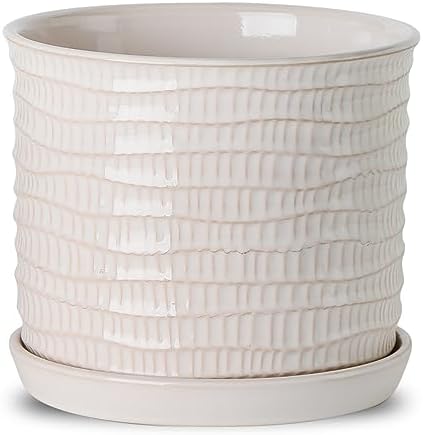8 Inch Ceramic Planter with Drainage Hole & Bonded Saucer by Chubacoo