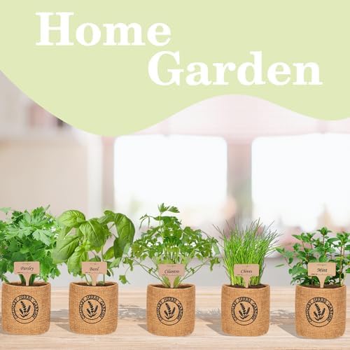 Herb Indoor Garden Kit- Unique Chrismas Herb Gardening Gift, Home Kitchen Gift for Mom, Friends, and Gardeners (Basil, Parsley, Chives, Cilantro, Mint) - Image 5