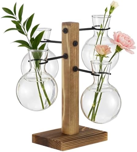 Hydroponic Plant Propagation Station, 4 Clear Round Glass Vases with Solid Wood Base, Mini Landscape Decor Set for Desktop Ornament, Home Garden Display, Ideal Choice for Plant Lovers by Unknown