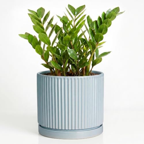 10 Inch Plant Pot, Ceramic Pots for Plants with Tray, Light Blue by Unknown