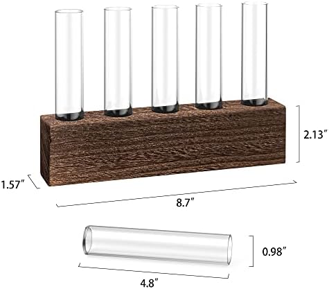 KAXYEW Desktop Glass Plant Propagation Station Test Tube Plant Terrarium in Wooden Stand for Hydroponic Plants Cutting Office Home Decoration Gift for Women (5 Test Tubes-BR) - Image 6