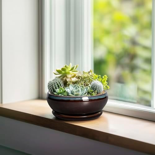 SQOWL Succulent Pots with Drainage Hole - 6 Inch Ceramic Bonsai Tree Pots, Shallow Planter with Saucer, Round Plant Pot for Succulent Indoor Outdoor, Porch Decor, Gifts for Plant Lover, Blue-Brown - Image 3
