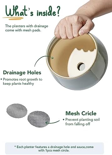 LE TAUCI Plant Pots for Indoor Plants, 4.1+5.1+6.5 inch, Set of 3, Ceramic Planters with Drainage Hole and Saucer, Indoor Flower Pot with Hole Mesh Pad, Gifts for Mom, Reactive Glaze Blue Gray - Image 6