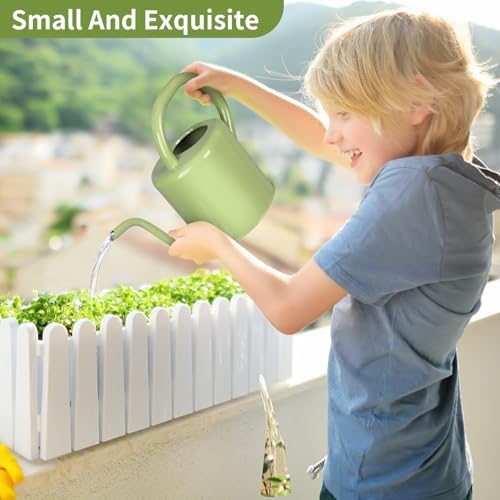 Watering Can, Stainless Steel Watering Can for Indoor & Outdoor Plants, 1L/35oz Long Spout Water Can with Handle, Rust-Proof Plant Watering Pot for House Plants, Garden Flowers - Image 2