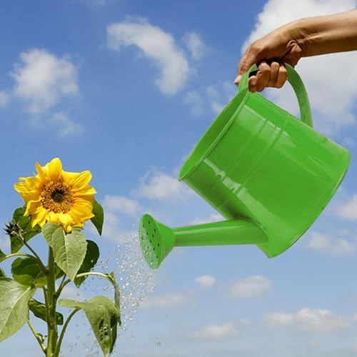 Watering Can Outdoor, 0.25 Gallon Metal Small Capacity Watering Can Indoor Plants with Sprinkler Head,Decorative Lightweight Durable Watering Cans for Garden Lawn Bonsai Greenhouse (Green) - Image 3