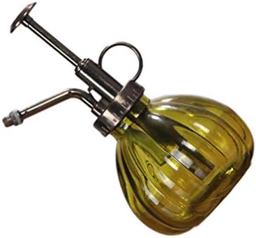 Vintage Pumpkin Glass Watering Can for Green Plants and Flowers by cabilock