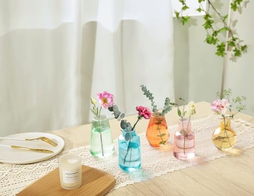 Mkono Propagation Vases 5 Glass Jars Station for Hydroponic Plants,Color - Image 3