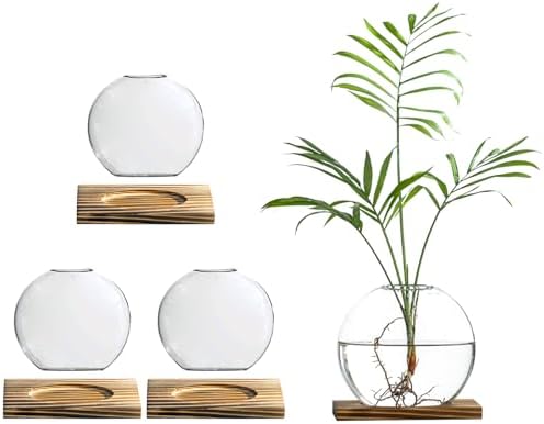 Glass Planter Propagation Station with Wooden Base - Clear Oblate Hydroponic Vase, Decorative Desktop Flower Vase for Home, Office, Windowsill - Gift for Plant Lovers (4) by wangsdjy