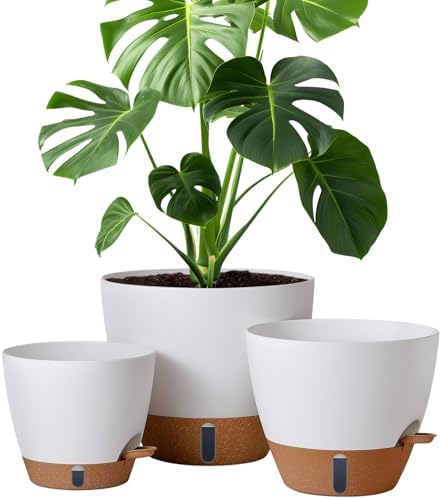 8/10/12 Inch Self Watering Pots for Indoor/Outdoor Plants with Drainage by Montresor
