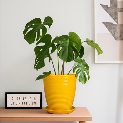Ceramic Plant Pot - 8 Inch Planter Pot with Drainage Hole and Saucer Round Planter for Indoor Outdoor Plants Flower Pot for Home Patio Garden Office Yellow - Image 2