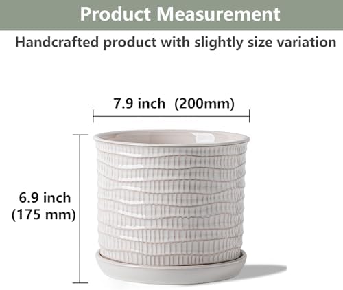 8 Inch Ceramic Planter with Drainage Hole & Bonded Saucer - Image 2