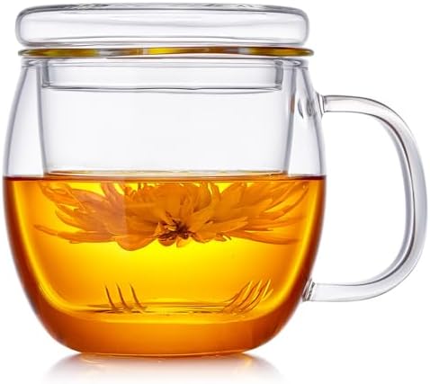 DOPUDO Glass Tea Cup with Infuser and Lid, 17oz/500ml Large Borosilicate Teacup for Loose Leaf Tea, Blooming Tea by DOPUDO