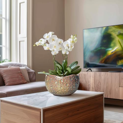 10 Inch Plant Pot - Ceramic Planter with Drainage Hole and Plug, Unique Round Planters for Indoor Outdoor Plants, Decorative Planters, Home Decor, Gardening Gifts for Women, Speckled-Brown - Image 4