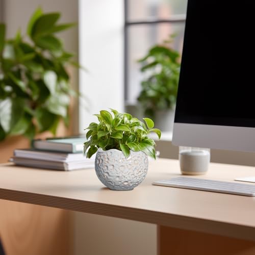 4 Inch Plant Pots, Ceramic Flower Pot for Indoor Plants, Grey - Image 3