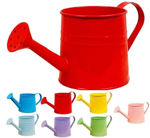 Small Watering Can, 1L Metal Flower Garden Watering Can, Gardening Tool Accessories for Outdoor Indoor Plants Lawn (Red) by Unknown