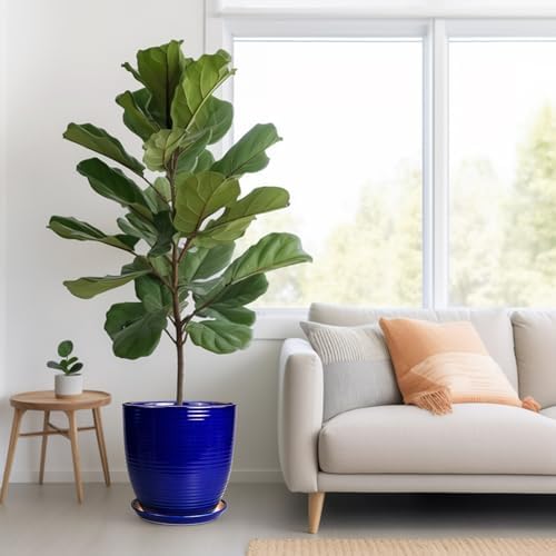 Ceramic Planter Pot - 12 Inch Pot for Plants Large Indoor Plant Pot with Drainage Hole and Saucer Fluted Round Planter for Outdoor Plants Flower Pot for Home Garden Blue - Image 2
