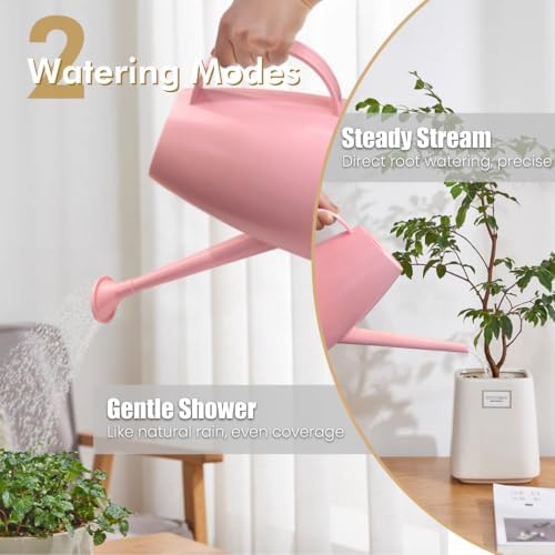 60 oz Watering Can, Watering Can Indoor Plants, Long Spout Small Water can - Image 2