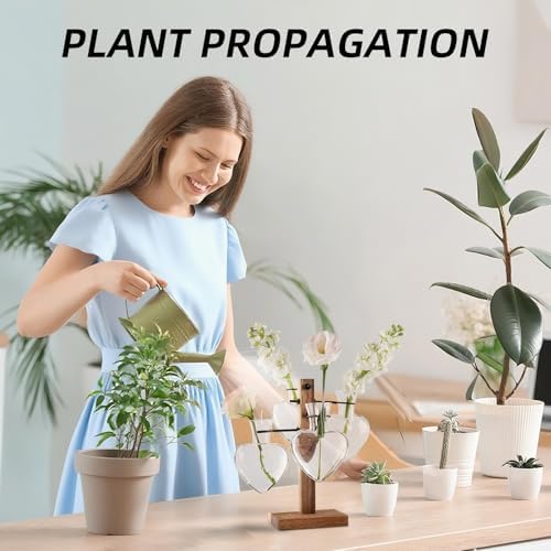 Plant Propagation Station Whith Acacia Wood Stand, 4 Heart Glass Vases - Image 3
