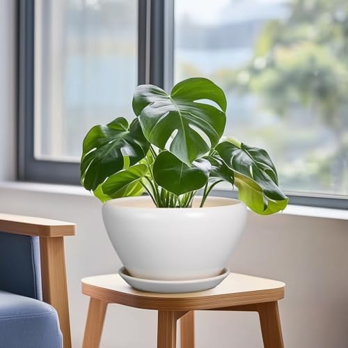 Ceramicfor Ceramic Planter - 9 Inch Plant Pot Indoor with Drainage Hole and Saucer for Outdoor Plants Mid-Century Round Planter Modern Flower Pot for House Garden White - Image 5