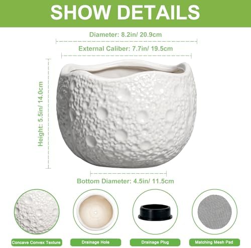 Ceramic Plant Pot, 8 Inch Round Planter with Drainage, White - Image 2
