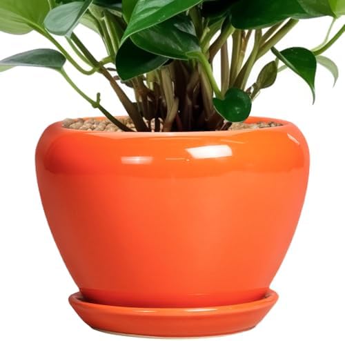 Ceramicfor Ceramic Plant Pot 6 Inch - Ceramic Planter for Indoor Plants Outdoor, Glaze Round Modern Flower Pot with Drainage Hole and Saucer, Gift for Plant Lover, Home Garden Room Decor, Orange by Ceramicfor