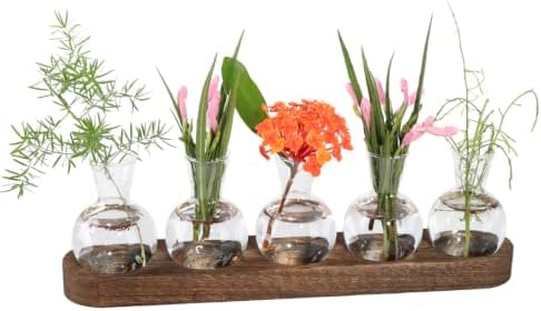 Plant Propagation Station with Wooden Stand, 5 Bulbs by XIKEMADI