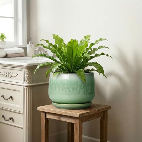 9 Inch Plant Pot - Ceramic Planter with Drainage Hole and Saucer, Decorative Ceramic Pots for Indoor Plants, Round Durable Flower Pot, Office House Patio Decor, Gifts for Plant Lovers, Green - Image 6
