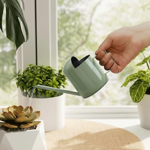 Bamworld Small Watering Can Indoor Outdoor Plant Metal Stainless Steel Long Spoutt Flowers Watering Cans for House Garden Plants 10OZ Watering Bottle Cute Stylish Gardening Decoration(Avocado Green) by Bamworld