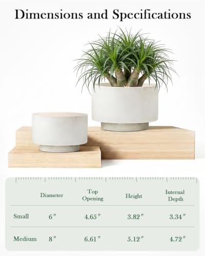 Succulent Pots, 8"+6" Plant Pots, Ceramic Planters for Indoor Plants - Image 5