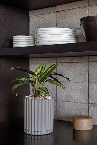 Veradek Demi Series Demi 6" Planter w/Tray - Grey, 2 Pack - Image 5