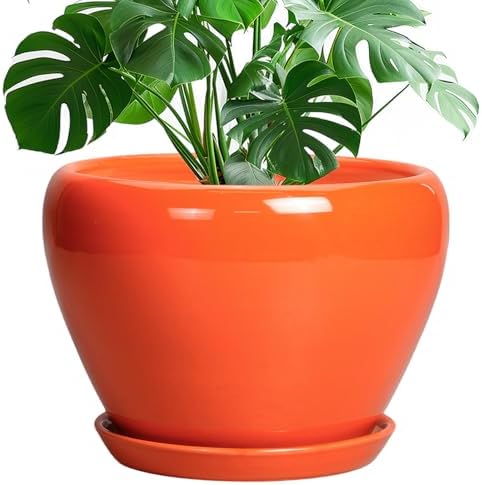 Ceramicfor Ceramic Pot for Plants - 10 Inch Plant Pot with Drainage Hole and Saucer, Modern Round Glaze Planter for Indoor Outdoor Plants, Plant Lover Gifts, Home Garden Office Decor, Orange by Ceramicfor