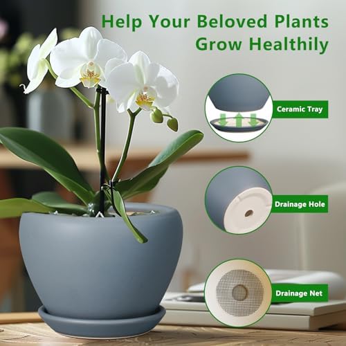 Ceramicfor Ceramic Pot for Plants - 6 Inch Plant Pot Indoor with Drainage Hole and Saucer Decorative Planter for Outdoor Plants Modern Succulent Pots Round Flower Pots Gray - Image 6