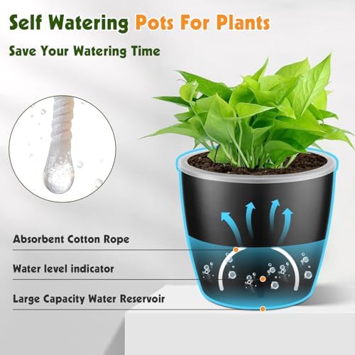 Self-Watering Pots for Indoor Plants, 6-Pack 6.7'' Self Watering Planter with Drainage Holes, Small African Violet Pots with Water Indicator, Clear Wick Pot, Black - Image 5