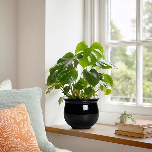 Ceramic African Violet Self Watering Pots, 6 Inch Self Watering Plant Pot with Absorbent Inner Pot, Flower Pots for Indoor Plants, Round Ceramic Planter, Home Decor, Plant Lover Gifts, Black - Image 4