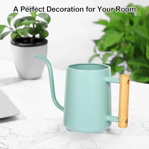Watering Can Indoor Plants, 35 oz/1000 ml Metal Stainless Steel Watering Can Pot with Long Spout for Indoor House Plants Bonsai Outdoor Garden Flower Decorative (Green - Image 3