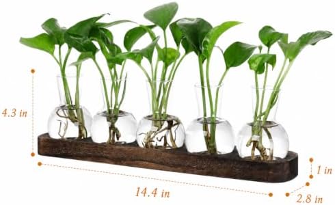 Plant Propagation Station with Wooden Stand, 5 Bulbs - Image 3