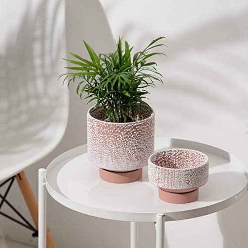 UBEE Planter Ceramic Flower Pot for Indoor Plants | 5.5 inch + 4.9 inch Plant Pot with Saucer and Drainage Hole for Aloe, Snake Plants, Pothos, Orchid, Terracotta with White Glaze Dot - Image 2