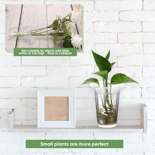 Baderke 36 Pcs Plastic Plant Propagation Vase for Indoor Decor, 4.57'' - Image 2