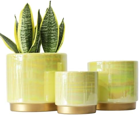 Gepege Ceramic Plant Pots for Indoor Plants, Planters with Drainage Holes by Gepege