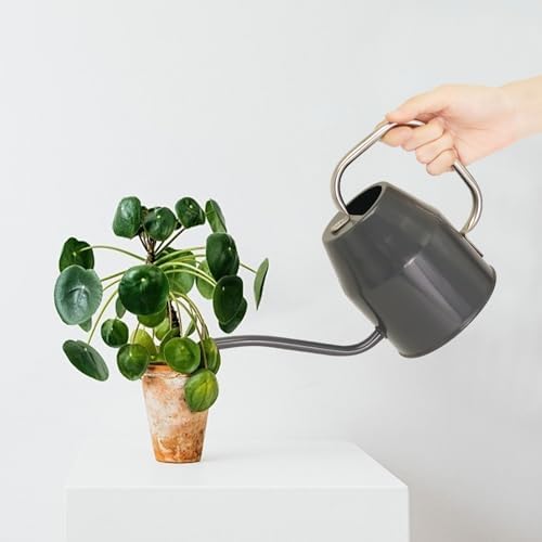 Metal Watering Can with Removable Spout, Galvanized Watering Can, Perfect Plant Watering Can for Indoor Use and for Outdoor Use (0.5 Gallaon, Black), W2315PG - Image 6