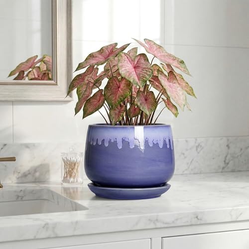 Ceramic Flower Pots, 7 Inch Indoor Planter with Drainage, Blue - Image 6