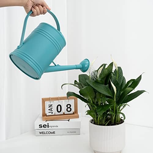 Watering Can for Indoor Plants, Flower Watering Can, Plastic Water Can for Plants, Indoor Watering Can with Sprinkler Head 68 oz, 1/2 Gallons - Image 4