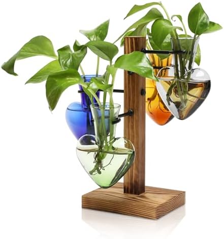 Plant Terrarium Propagation Stations with Wooden Stand by CYZglass