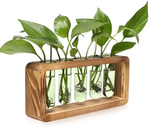 Glass Plant Propagation Station with 5 Test Tubes Colorful Planter Vase by YYHglass