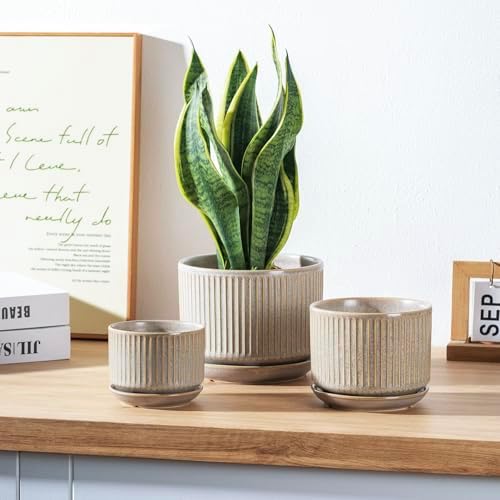 SURE YUESI Ceramic Plant Pots Set of 3, Indoor Outdoor Planters with Drainage Hole and Saucer, Ceramic Flower Pots for Indoor Plants, 4.3+5.5+6.8 Inch, Home, Garden, Patio and Office, Matte Grey - Image 3