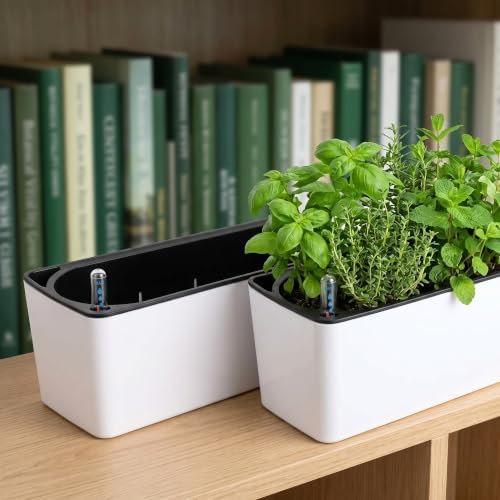Fasmov 2 Pack Rectangle Self Watering Planter with Water Level Indicator, 16x 5.5 Inch Window Gardening Box, Decorative Planter Pot for All House Plants Flowers Herbs, Decorative Planter Pot - Image 6