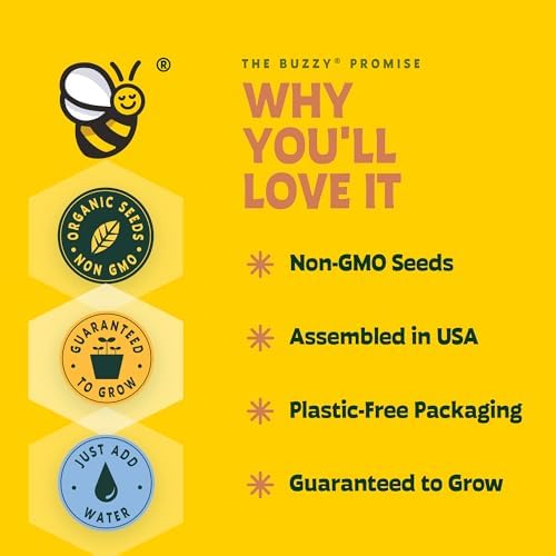 Buzzy Seeds Spruce Christmas Tree Grow Kit, Galvanized Basin Planter - Image 3